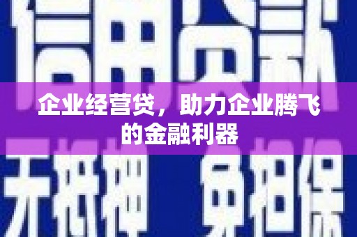 河南企业经营贷，助力企业腾飞的金融利器
