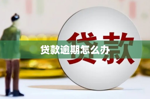 河南贷款逾期怎么办