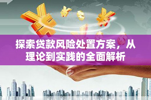 河南探索贷款风险处置方案，从理论到实践的全面解析