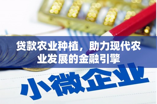 河南贷款农业种植，助力现代农业发展的金融引擎