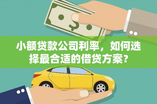 河南小额贷款公司利率，如何选择最合适的借贷方案？