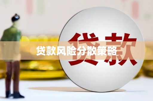 河南贷款风险分散策略