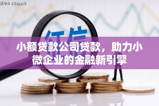 河南小额贷款公司贷款，助力小微企业的金融新引擎