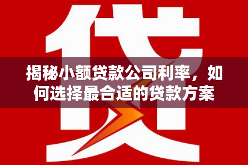 河南揭秘小额贷款公司利率，如何选择最合适的贷款方案
