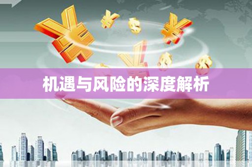 河南机遇与风险的深度解析
