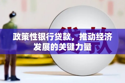 河南政策性银行贷款，推动经济发展的关键力量