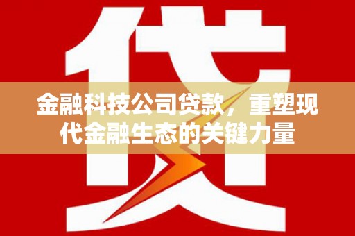 河南金融科技公司贷款，重塑现代金融生态的关键力量