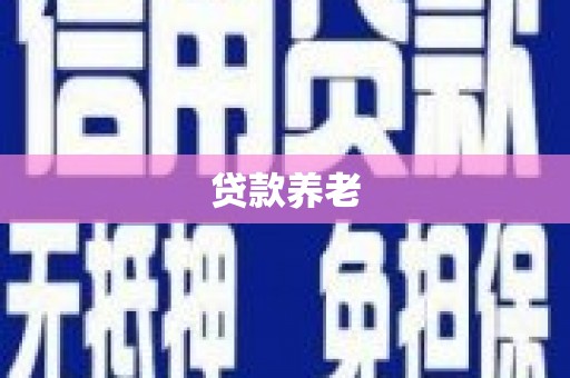 河南贷款养老