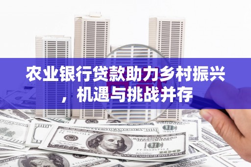 河南农业银行贷款助力乡村振兴，机遇与挑战并存