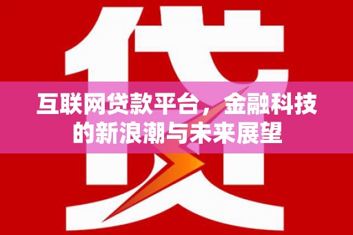 河南互联网贷款平台，金融科技的新浪潮与未来展望