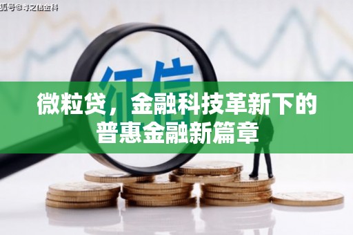 河南微粒贷，金融科技革新下的普惠金融新篇章