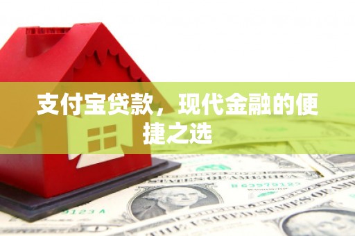 河南支付宝贷款，现代金融的便捷之选