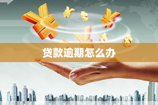 河南贷款逾期怎么办