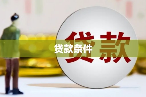 河南贷款条件