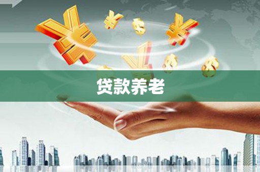 河南贷款养老