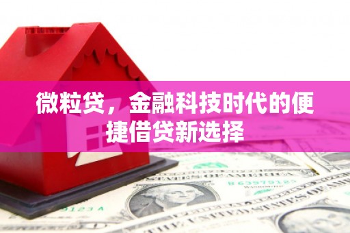 河南微粒贷，金融科技时代的便捷借贷新选择