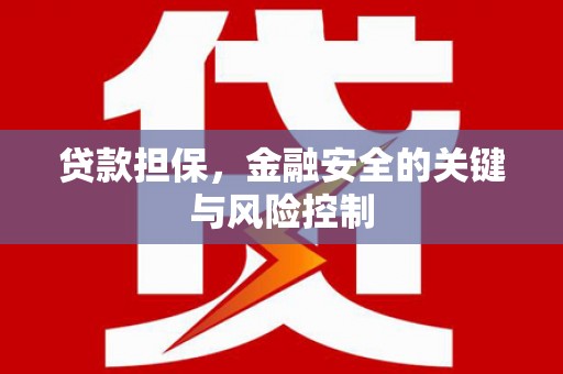 河南贷款担保，金融安全的关键与风险控制