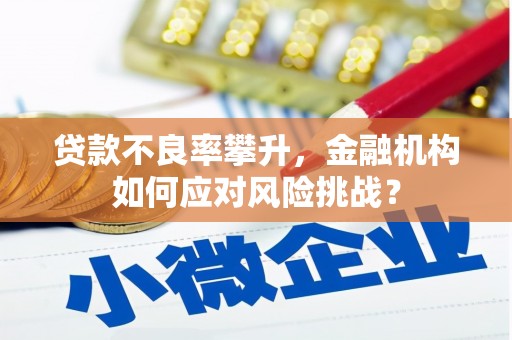 河南贷款不良率攀升，金融机构如何应对风险挑战？
