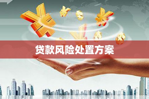 河南贷款风险处置方案