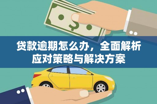 河南贷款逾期怎么办，全面解析应对策略与解决方案