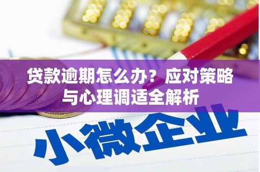 河南贷款逾期怎么办？应对策略与心理调适全解析