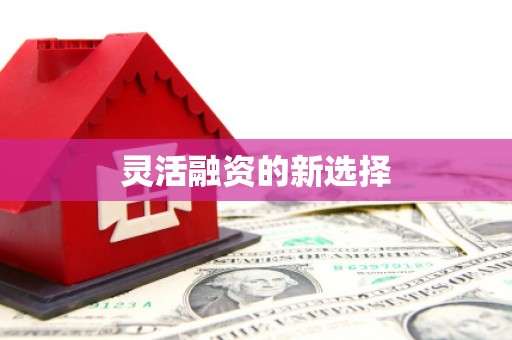 河南灵活融资的新选择