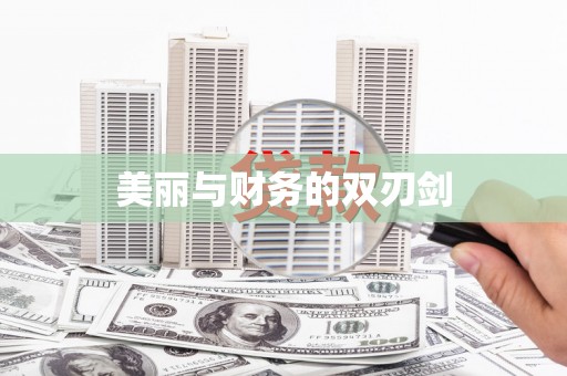 河南美丽与财务的双刃剑