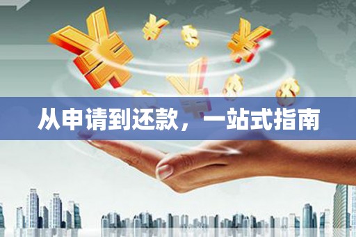 河南从申请到还款，一站式指南